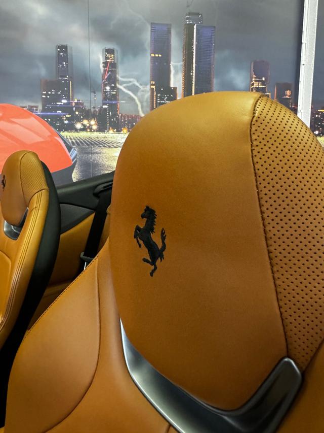 FERRARI Portofino usata, con Sistema di navigazione