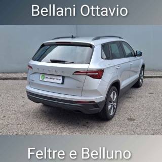 SKODA Karoq usata, con Climatizzatore