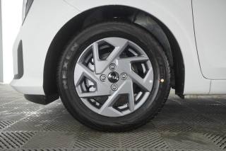 KIA Picanto usata 12