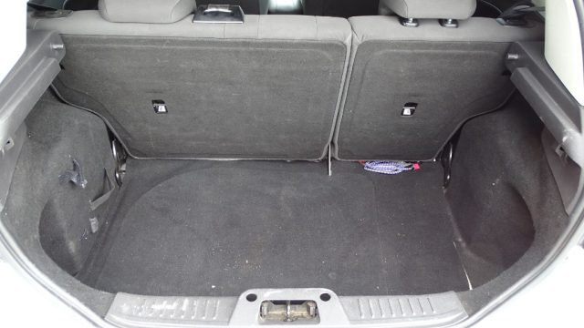 FORD Fiesta usata, con Fendinebbia
