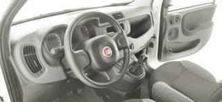 FIAT Panda usata 35