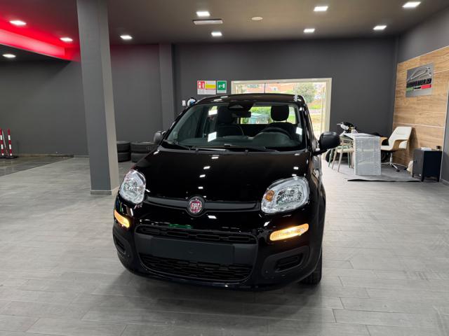 FIAT Pandina usata, con Limitatore di velocità