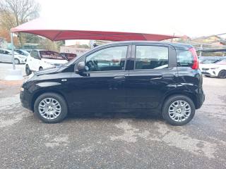 FIAT Panda usata, con Alzacristalli elettrici