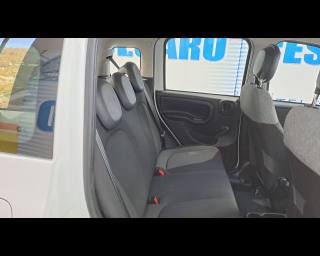 FIAT New Panda usata 14