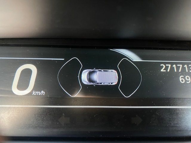 RENAULT Scenic usata, con Vivavoce