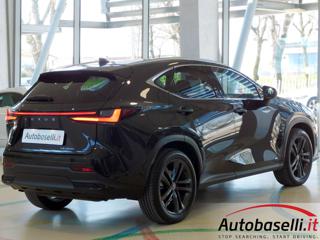 LEXUS NX 450h usata, con Fendinebbia