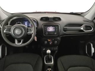 JEEP Renegade usata, con Climatizzatore