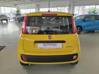 FIAT Panda usata, con Antifurto