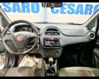 FIAT Punto usata, con Controllo automatico clima