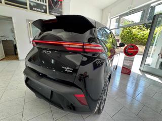 BYD Dolphin Surf usata, con Cerchi in lega