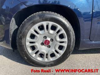 FIAT Panda usata 20
