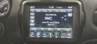 JEEP Renegade usata 73