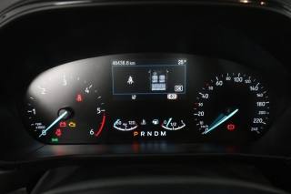 FORD Focus usata 6