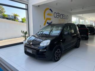 FIAT Panda usata, con Alzacristalli elettrici