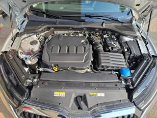 SKODA Octavia usata 156