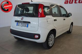 FIAT Panda usata, con Airbag Passeggero
