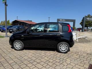 FIAT Panda usata, con Alzacristalli elettrici