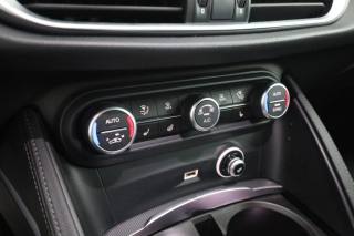 ALFA ROMEO Stelvio usata 11