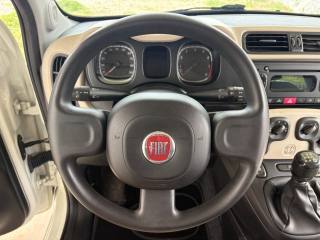 FIAT Panda usata, con USB