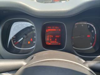 FIAT Panda usata 12