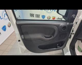 FIAT New Panda usata 19