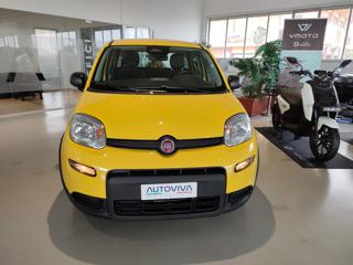 FIAT Panda usata, con Airbag Passeggero