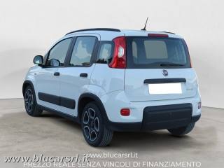 FIAT Panda usata 3