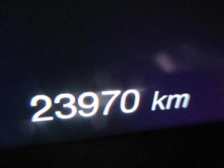 ALFA ROMEO Stelvio usata, con Chiusura centralizzata