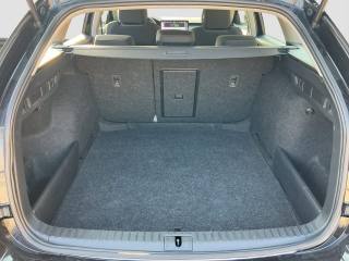 SKODA Octavia usata 12