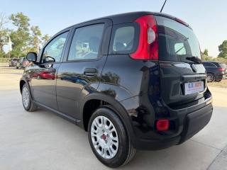 FIAT Panda usata, con Controllo trazione