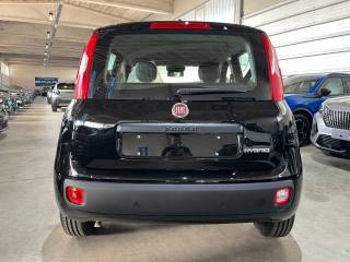 FIAT Panda usata, con Antifurto