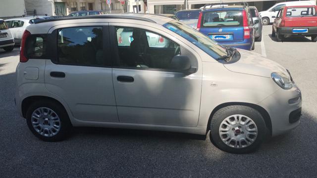 FIAT Panda usata, con Fendinebbia