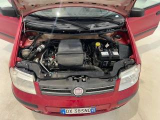 FIAT Panda usata 12