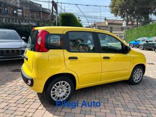 FIAT Pandina usata, con Climatizzatore