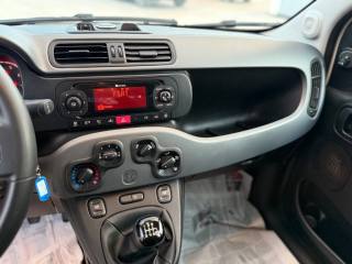 FIAT Panda usata 14
