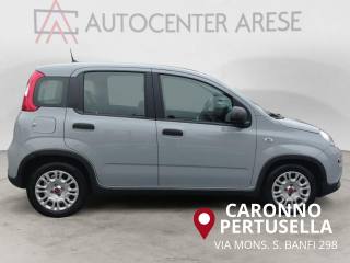 FIAT Panda usata, con Antifurto