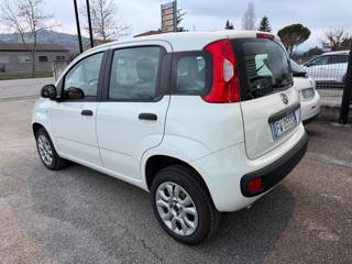 FIAT Panda usata, con Climatizzatore