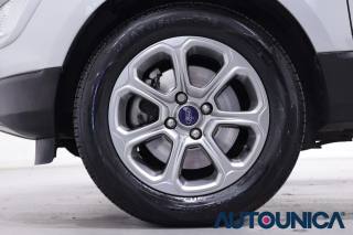 FORD EcoSport usata, con Fendinebbia