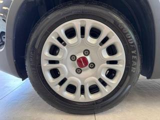 FIAT Panda usata, con Controllo trazione