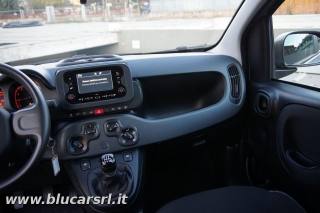 FIAT Panda usata, con Controllo trazione