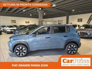 FIAT Grande Panda usata, con MP3