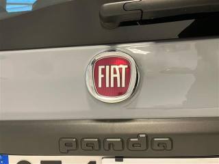 FIAT Panda usata 19