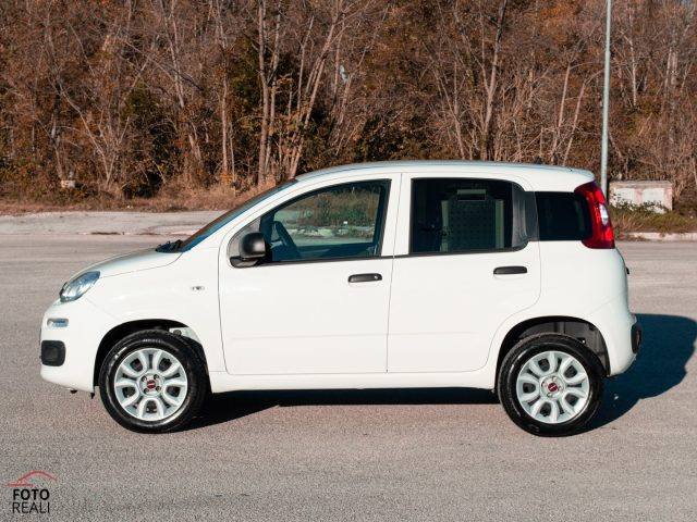 FIAT Panda usata 19