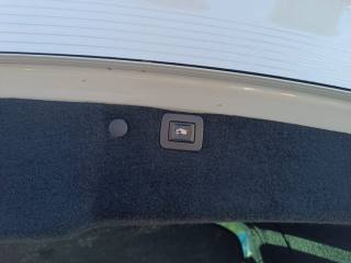 OPEL Insignia usata, con Cronologia tagliandi