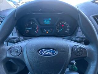 FORD Transit usata, con Cronologia tagliandi