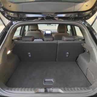 FORD Puma usata, con Cronologia tagliandi