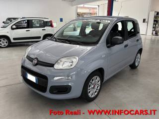 FIAT Panda usata, con Airbag Passeggero