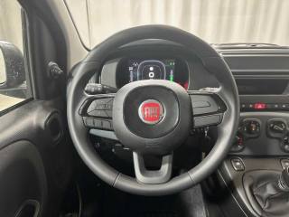 FIAT Panda usata 12