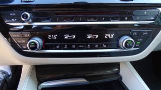 BMW 530 usata 117