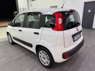FIAT Panda usata, con Climatizzatore